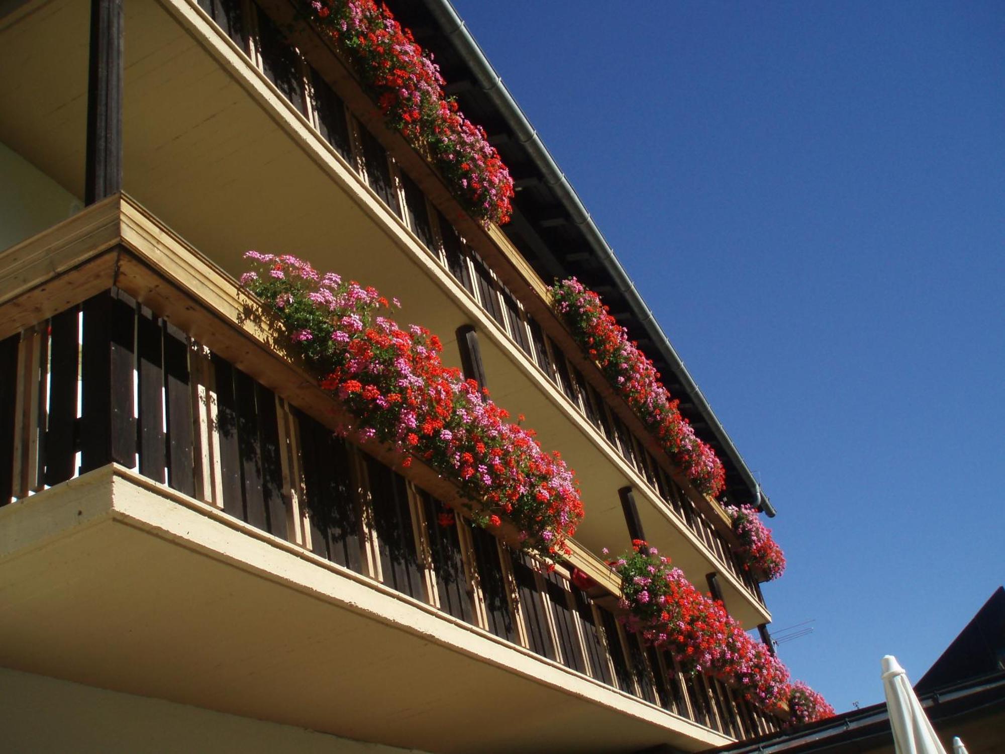 Hotel Laerchenhof Sankt Jakob in Defereggen Zewnętrze zdjęcie